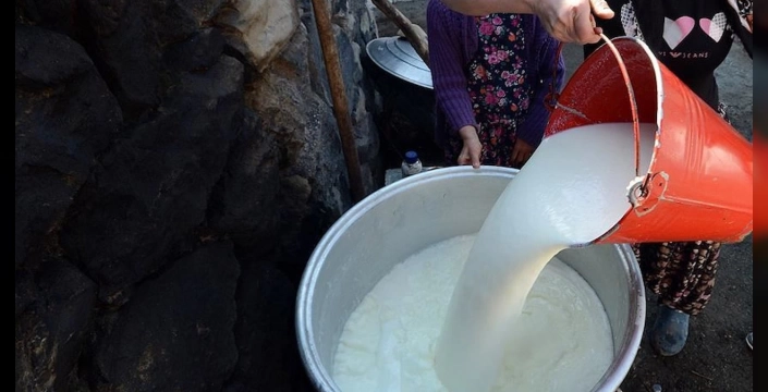 Çin, AB'den ithal süt ürünlerine yönelik soruşturmayı uzattı