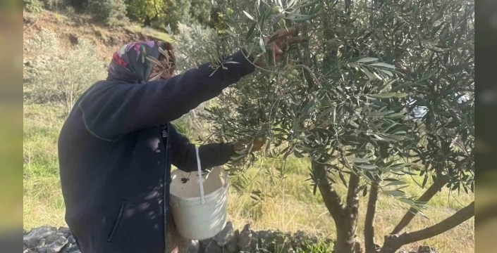 88 yaşındaki Emine Nine, gençlere inatla taş çıkarıyor: 'Çalışan yaşlanmaz'